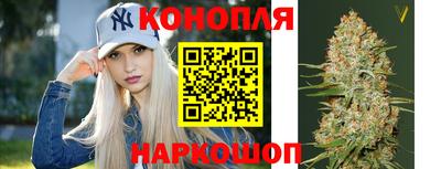 крисы Рыбинск