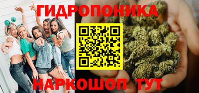 крисы Рыбинск
