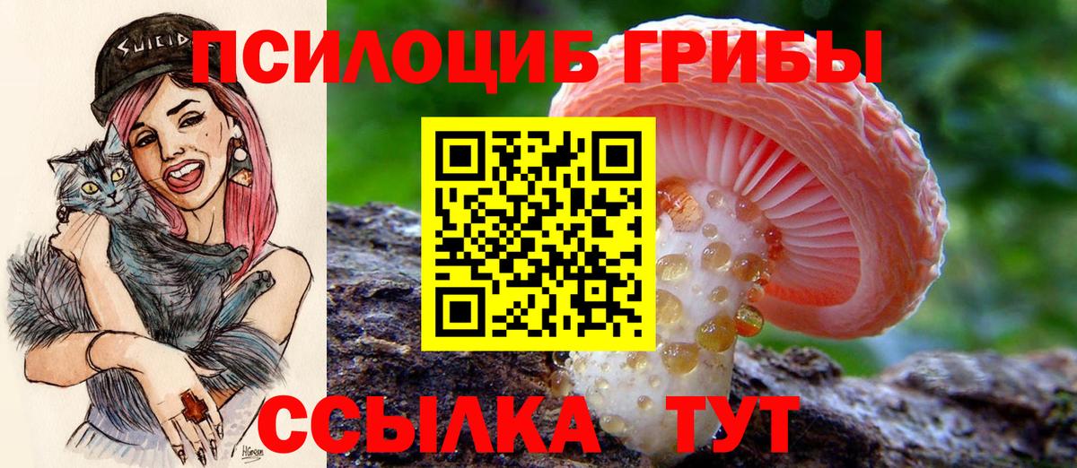Галлюциногенные грибы GOLDEN TEACHER Обь