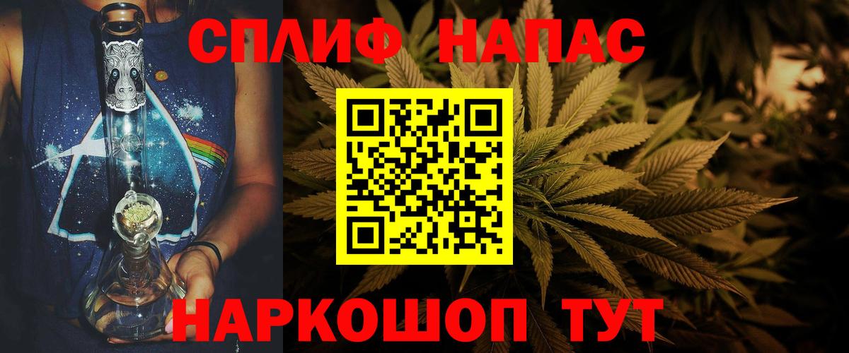 Конопля планчик Обь
